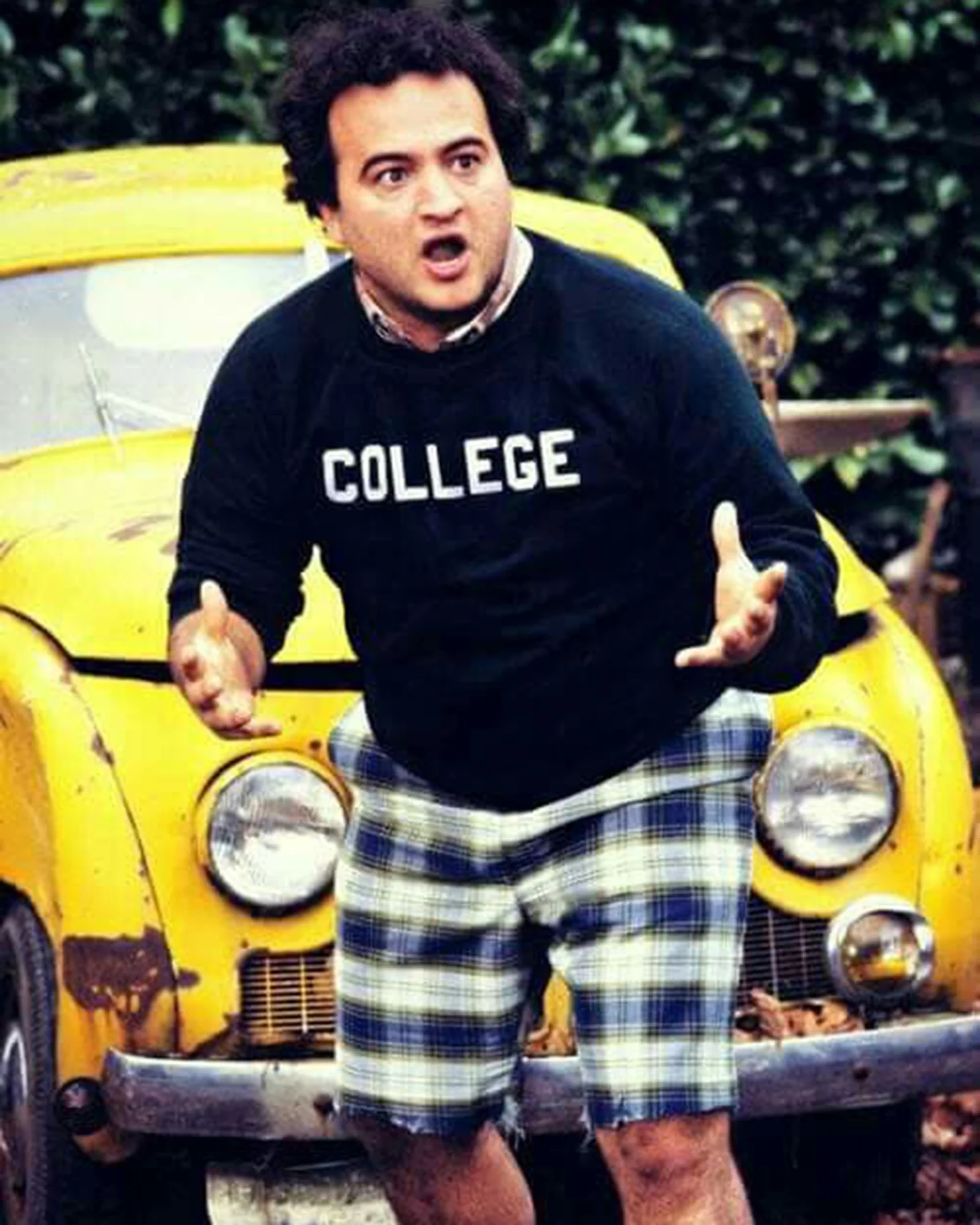 Bluto's Sweatshirt - Image 5