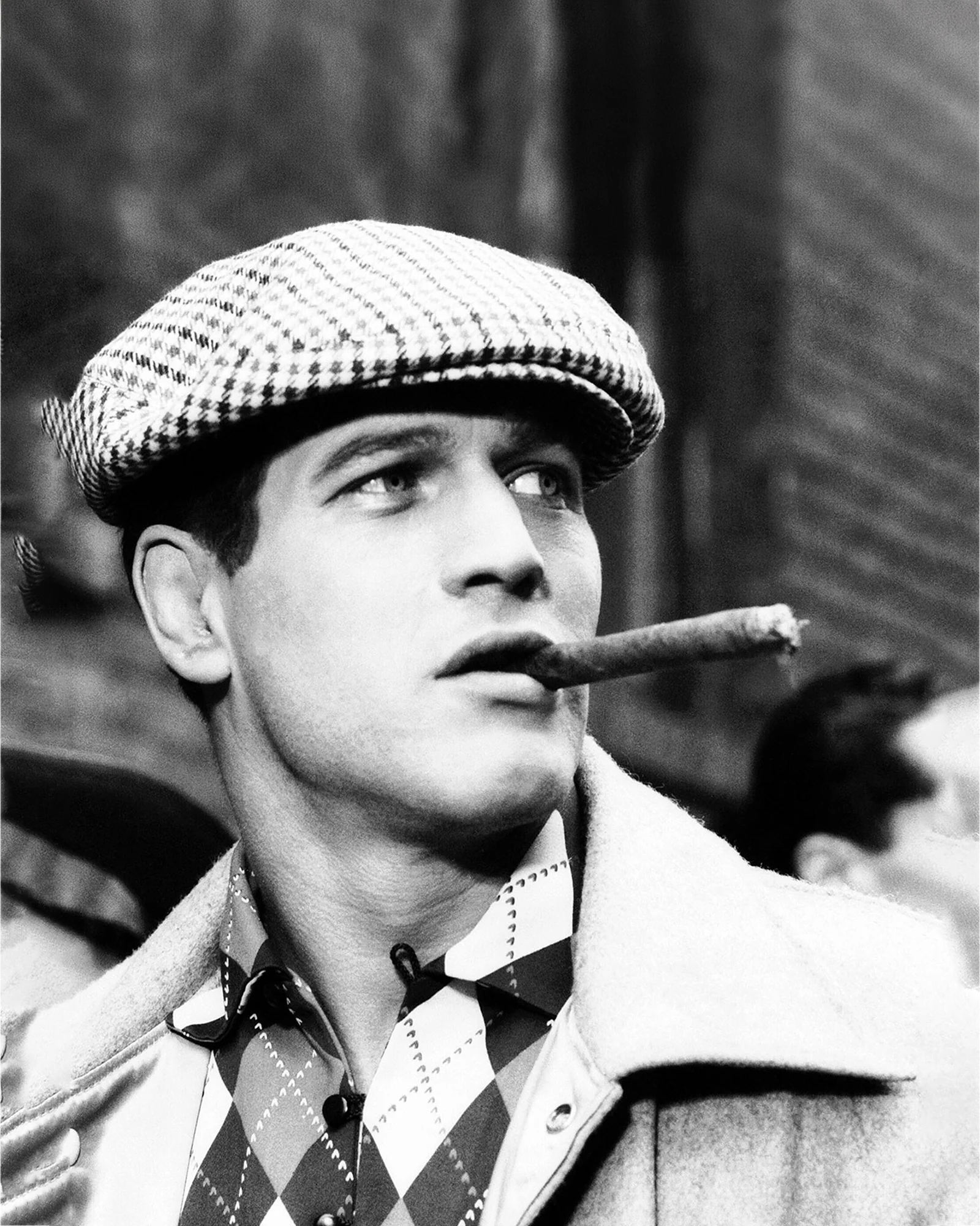 Preppy Man Polo in Cioccolato - Image 2